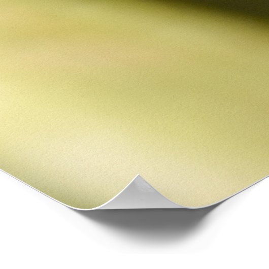 Poster Belle Robin (Coin)