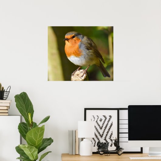 Poster Belle Robin (Bureau à domicile)