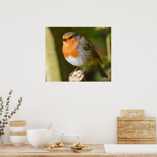 Poster Belle Robin (Cuisine)