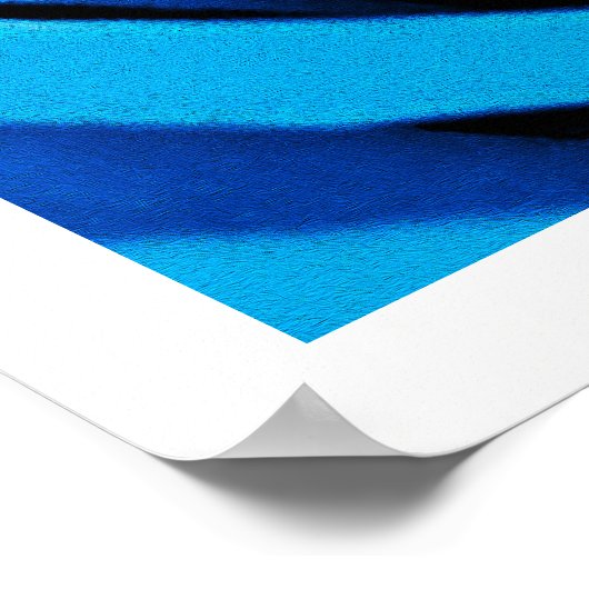 Poster Belle rose bleue (Coin)