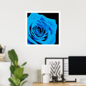 Poster Belle rose bleue (Bureau à domicile)