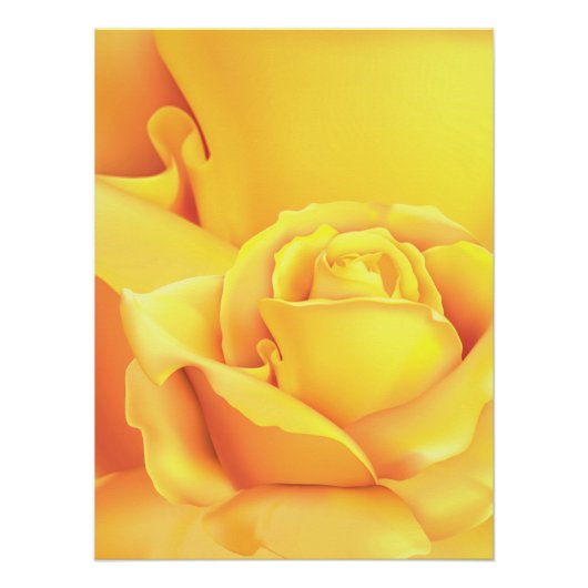 Poster Belle Rose Jaune (Devant)