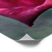 Poster Belle rose magenta Art photographique Imprimer (Coin)