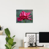Poster Belle rose magenta Art photographique Imprimer (Bureau à domicile)