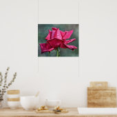 Poster Belle rose magenta Art photographique Imprimer (Cuisine)