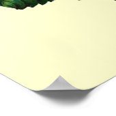 POSTER BELLE ROSE ROSE (Coin)