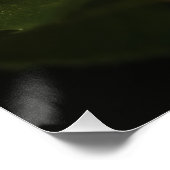 Poster belle rose rose (Coin)