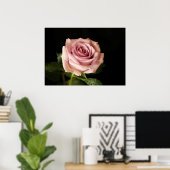 Poster belle rose rose (Bureau à domicile)