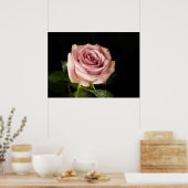 Poster belle rose rose (Cuisine)