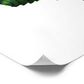 POSTER BELLE ROSE ROSE (Coin)