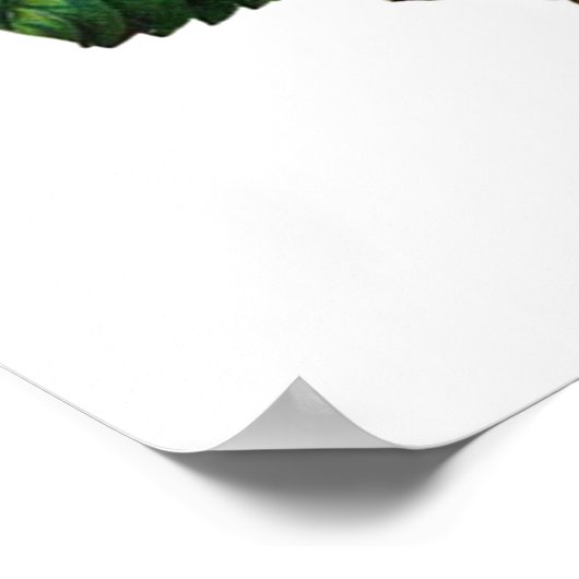 POSTER BELLE ROSE ROSE (Coin)