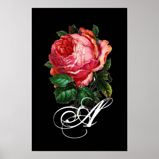 POSTER BELLE ROSE ROSE MONOGRAMME (Devant)