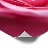 Poster Belle rose rose rose (Coin)