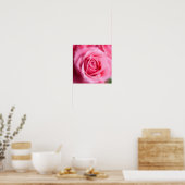 Poster Belle rose rose rose (Cuisine)