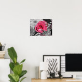 Poster Belle rose rouge (Bureau à domicile)