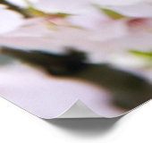 Poster Belle salutation de printemps (Coin)