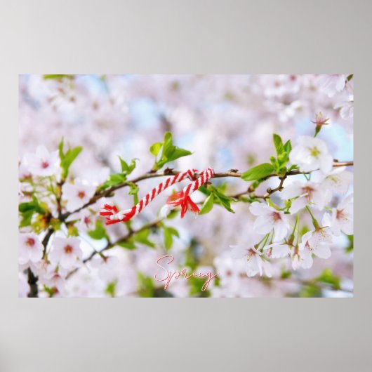 Poster Belle salutation de printemps (Devant)