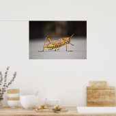 Poster Belle sauterelle colorée en gros plan (Cuisine)