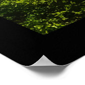 Poster Belle scène de nature au clair de lune (Coin)