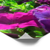 POSTER BELLE SÉRÉNITÉ DE PRIÈRE PHOTO DESIGN (Coin)