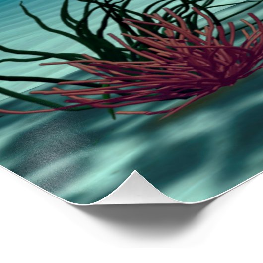 Poster Belle sirène (Coin)