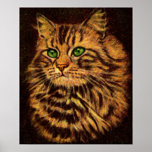 Poster belle tabby à cheveux longs (Devant)