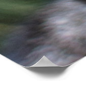 Poster Belle tabby gris aux yeux verts gros plan (Coin)