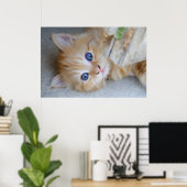 Poster Belle Tabby Kitten Orange (Bureau à domicile)