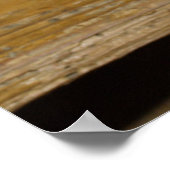 Poster Belle Tabby Kitten Orange (Coin)