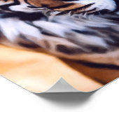 Poster Belle Tiger Chat Visage Peint Faune (Coin)