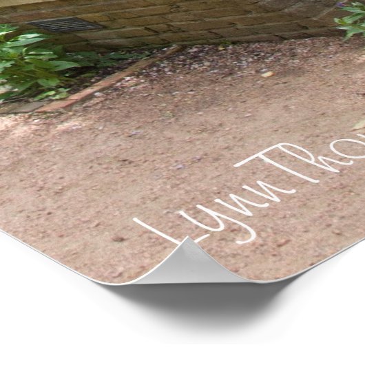 Poster Belle toile d'une image (Coin)