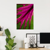 Poster Belle Très rouge et vert feuille motif de cabba (Bureau à domicile)