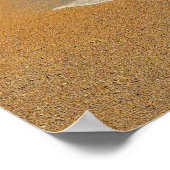 Poster Belle Turquoise Bleue Mer Tropicale Photographie (Coin)