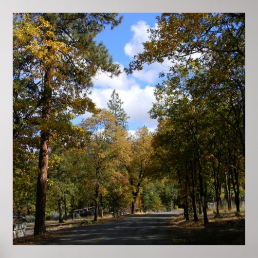 Poster Belle ville.. (Devant)