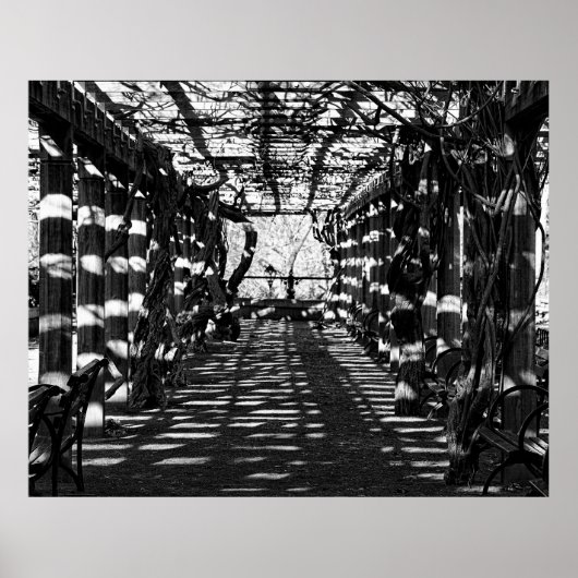 Poster Belle vue à Central Park, NYC (Devant)