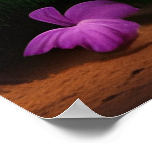 Poster Belle vue sur l'île tropicale palmiers océaniques  (Coin)