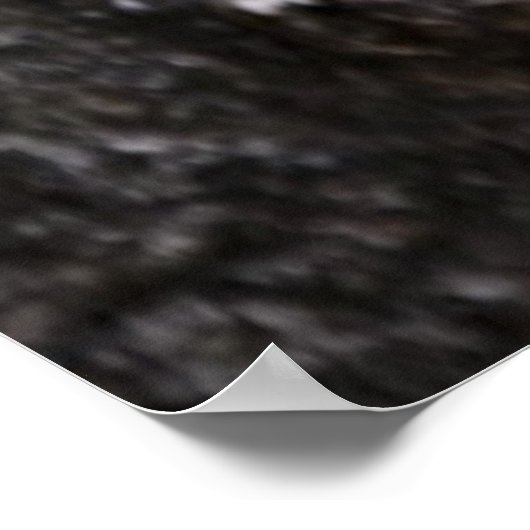 Poster Belles citations (Coin)