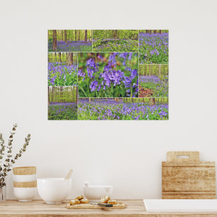 Poster Belles clochettes bleues en forêt