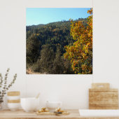 Poster Belles couleurs automne..... (Cuisine)