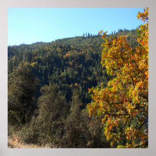 Poster Belles couleurs automne.....
