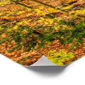 Poster Belles Couleurs d'Automne Arbres Forêt (Coin)