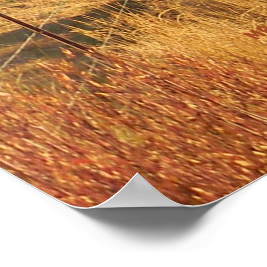 Poster Belles couleurs en automne... (Coin)