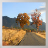 Poster Belles couleurs en automne... (Devant)