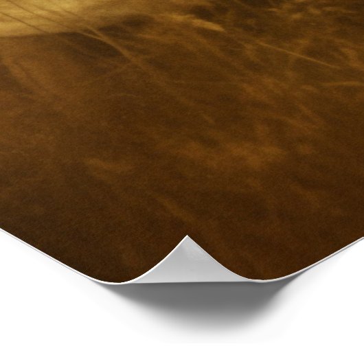 Poster Belles dames vintages (Coin)