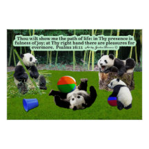 Belles Écritures Panda Psaumes 16:11 : Glossy