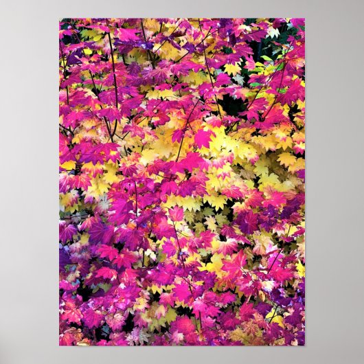 Poster Belles feuilles automnales (Devant)
