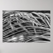 Poster Belles feuilles de palmier (Devant)