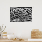 Poster Belles feuilles de palmier (Cuisine)