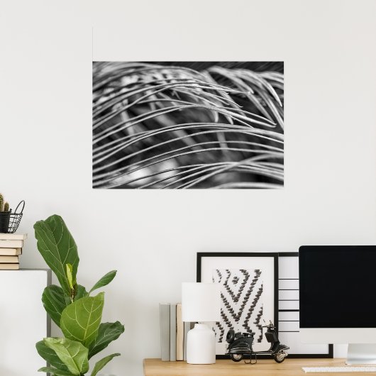 Poster Belles feuilles de palmier (Bureau à domicile)