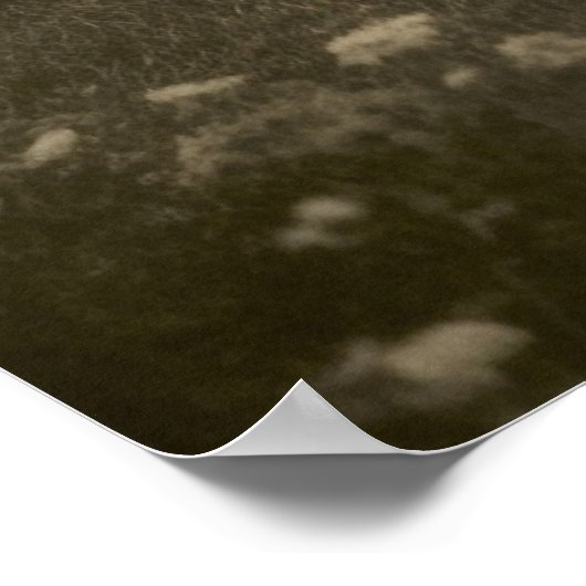 Poster Belles filles vintages (Coin)